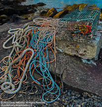 Monhegan Island | Student Photos