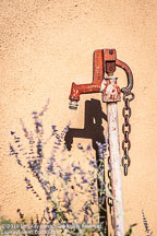 Albuquerque-S. Fé | Student Photos