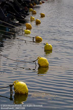 Barge Provence | Student Photos