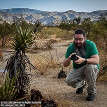 Joshua Tree | Student Candids