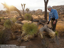 Joshua Tree | Student Candids