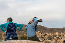 Joshua Tree | Student Candids