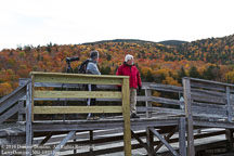 New England Fall | Student Candids