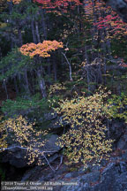 New England Fall | Student Photos