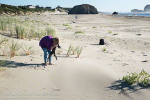Oregon Coast | Student Candids