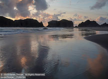 Oregon Coast | Student Photos