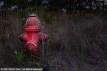 Outer Banks Spring | Student Photos