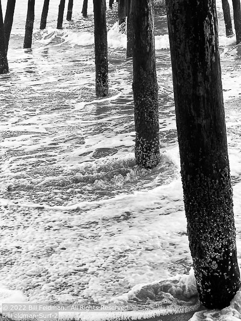 Outer Banks Winter | Student Photos