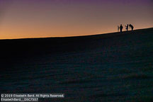 Palouse | Student Candids