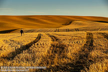 Palouse | Student Candids