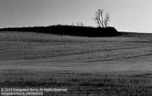 Palouse | Student Photos